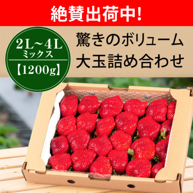 絶賛出荷中_MIX1200