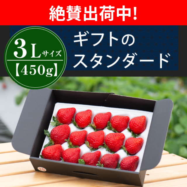 絶賛出荷中_3L450