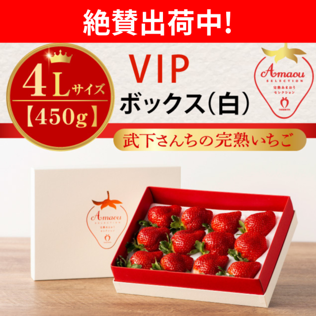 絶賛出荷中_VIP白_3L450