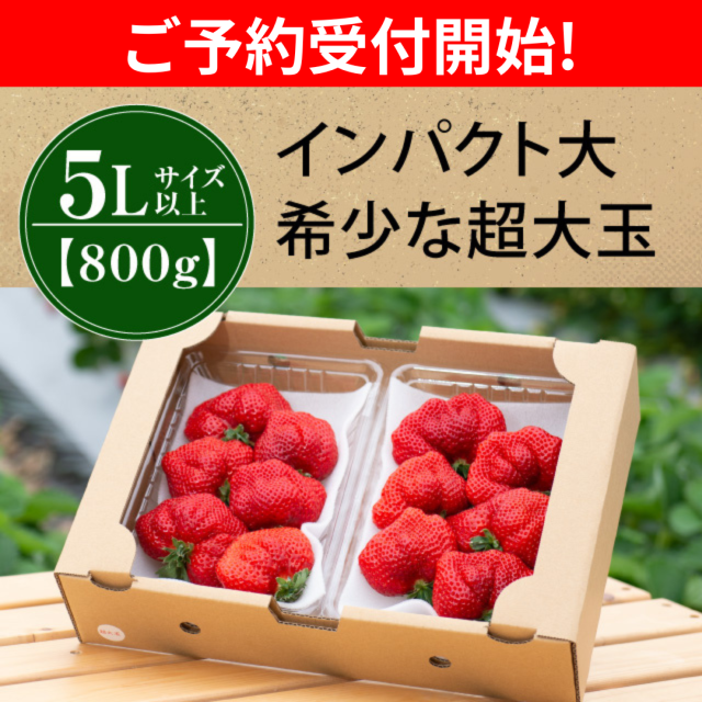 予約受付開始_5L800