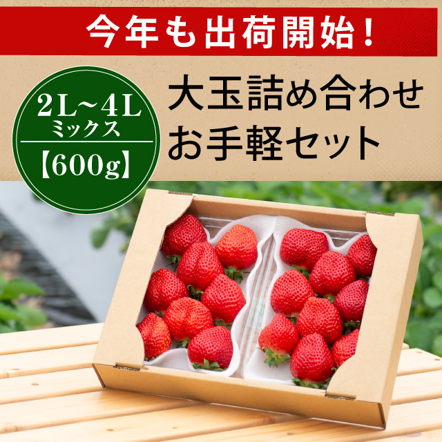 出荷開始！_MIX600g