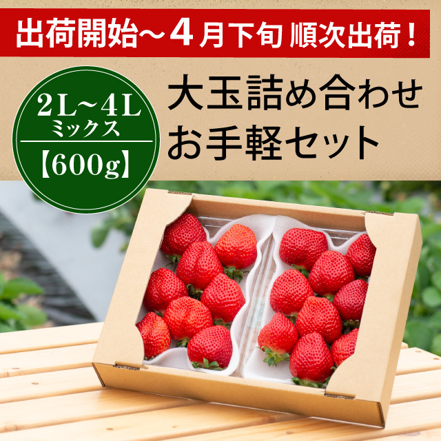 完熟あまおうギフト