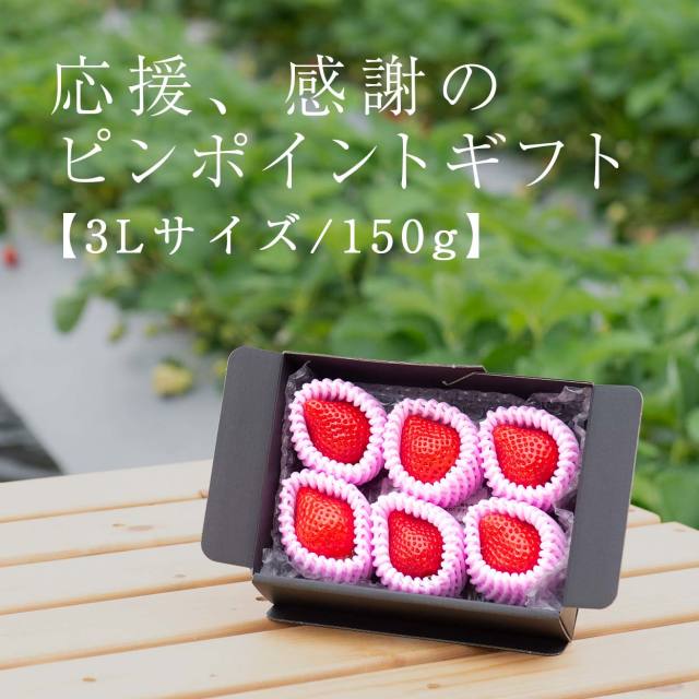 生果3L/150g