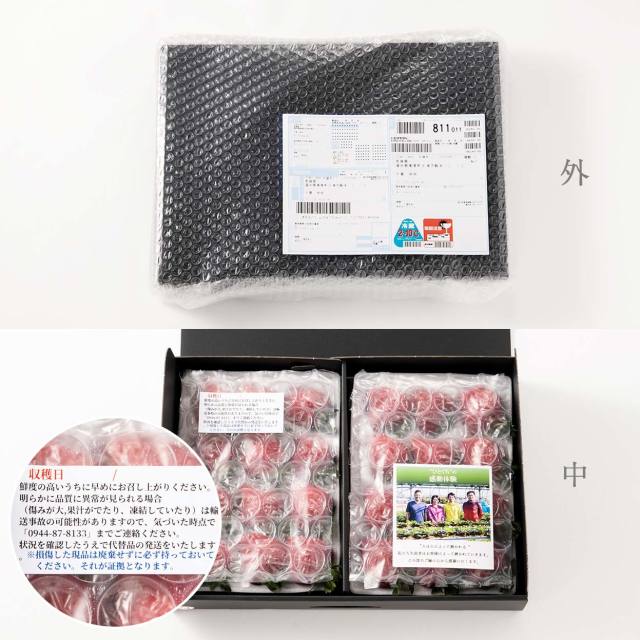 VIPボックス赤 完熟あまおう 3Lサイズ 450g ギフトのスタンダード