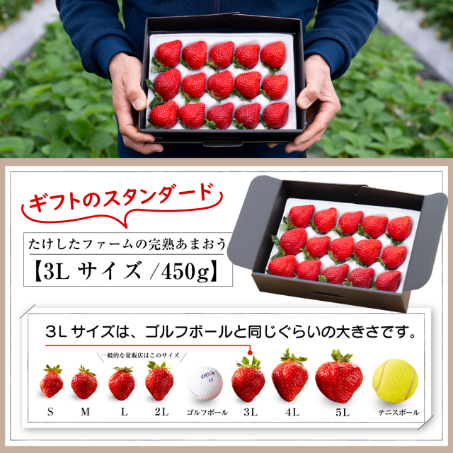 福岡の産直いちご農家 武下さんちのあまおう3Lサイズ450g ギフト
