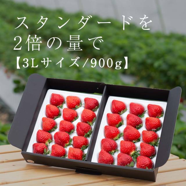 生果3L/900g