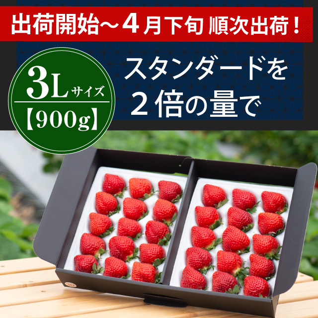 完熟あまおうギフト