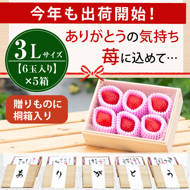 出荷開始！_桐箱６玉入5箱