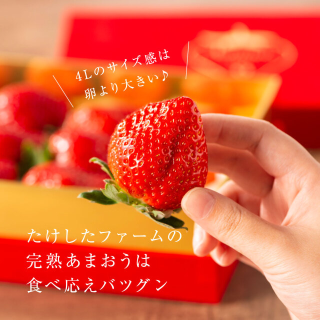 VIPボックス赤 完熟あまおう 4Lサイズ 450g まるで宝石！希少な大玉