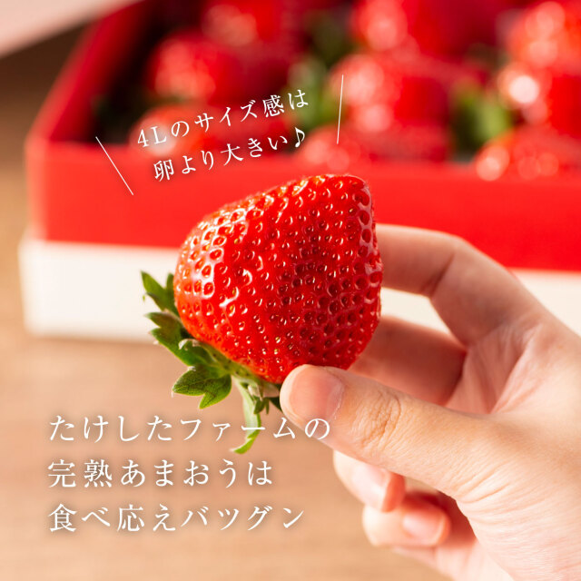 VIPボックス白 完熟あまおう 4Lサイズ 450g まるで宝石！希少な大玉