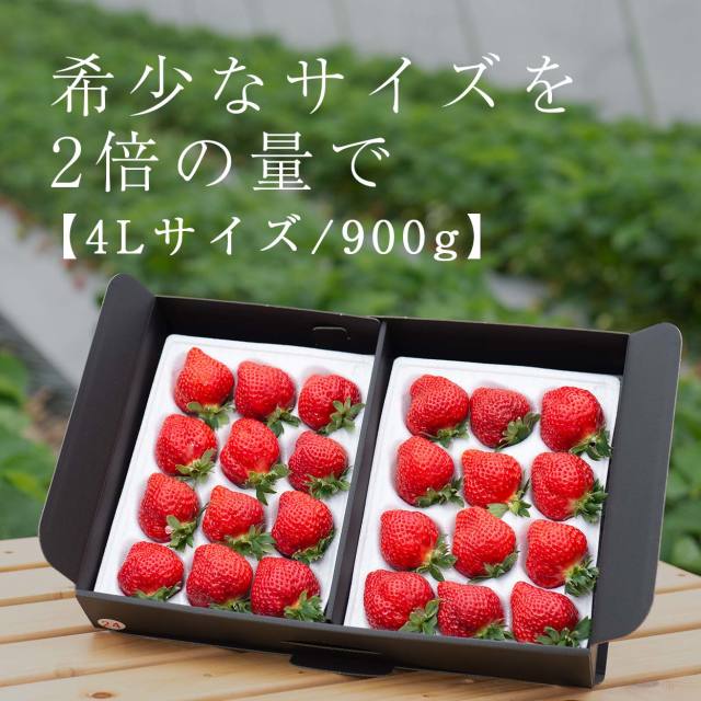 生果4L/900g