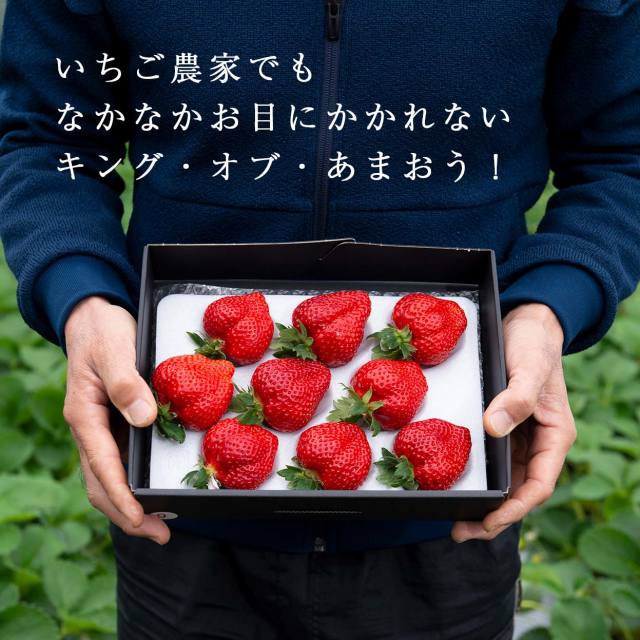 福岡の産直いちご農家 武下さんちのあまおう5Lサイズ450g 最高級