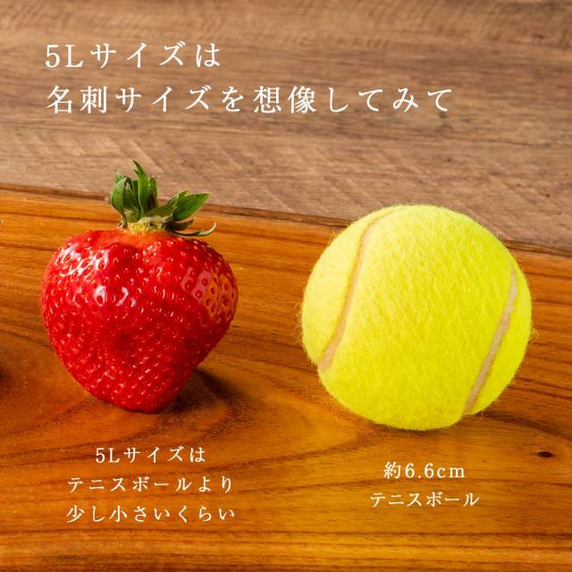 福岡の産直いちご農家 武下さんちのあまおう5Lサイズ450g 最高級