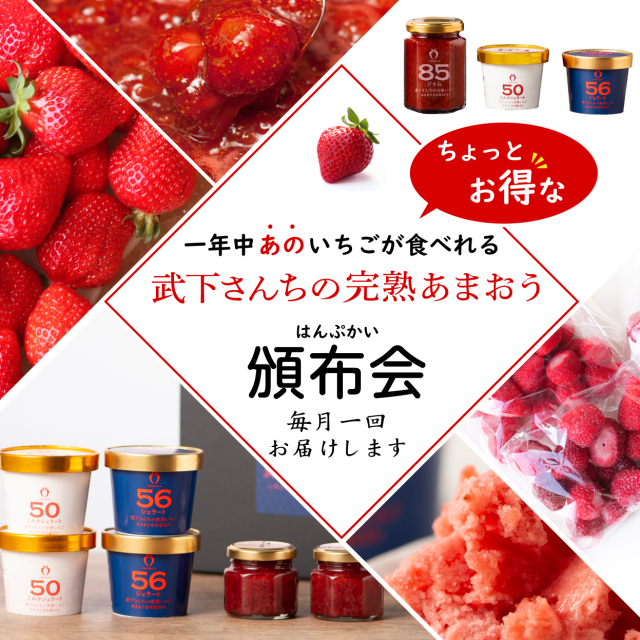 頒布会イメージ
