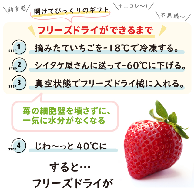 フリーズドライの作り方