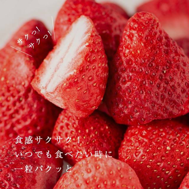 フリーズドライ