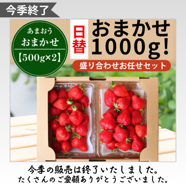 今季終了_日替1000g