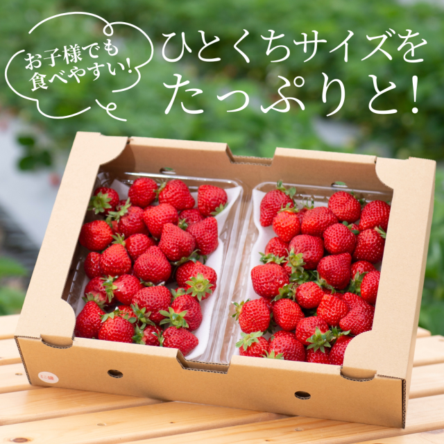 ひとくちサイズ1000g