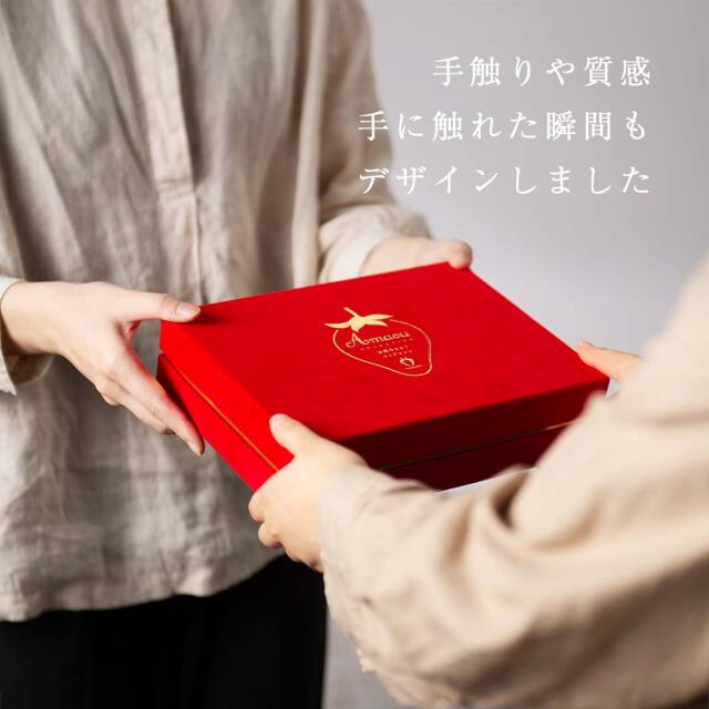 vipbox赤_イメージ03