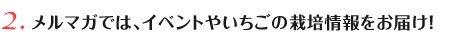 メルマガでは、イベントやいちごの栽培情報をお届け！