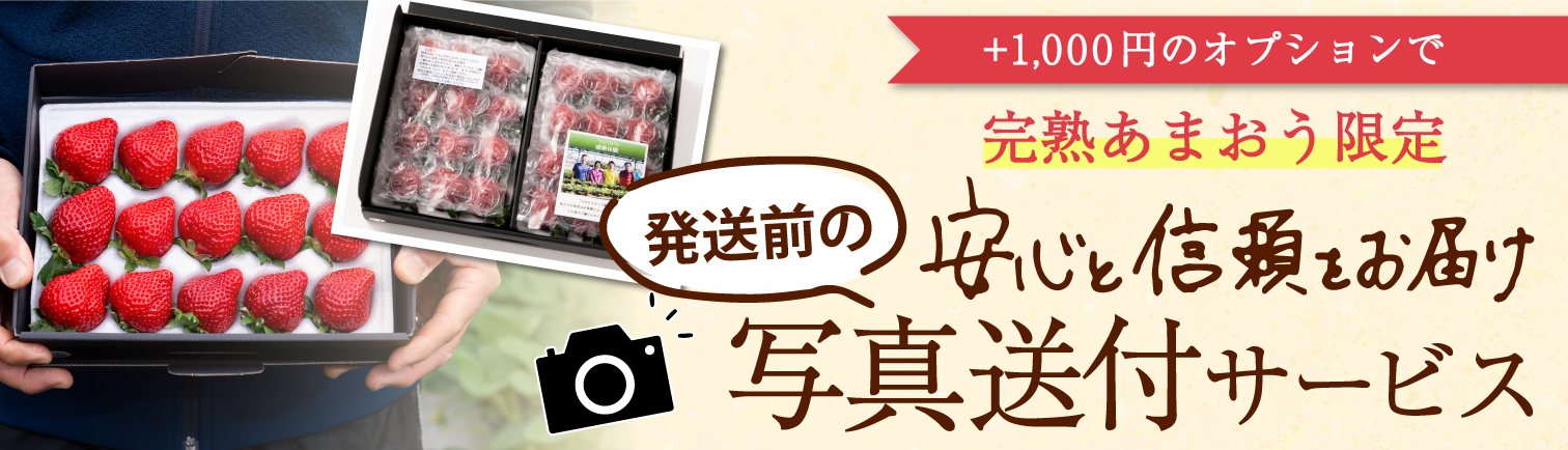 発送前の写真送付サービス