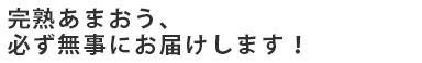 完熟あまおう、必ず無事にお届けします！