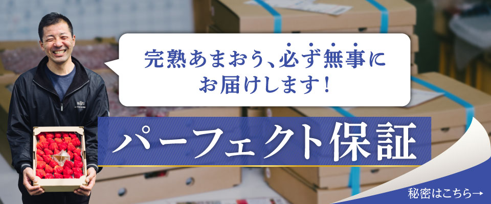 パーフェクト保証