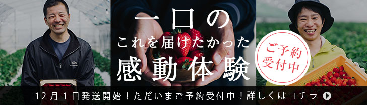 いちごの通販なら楽農ファームたけした | 福岡あまおうを使ったお取り寄せギフト