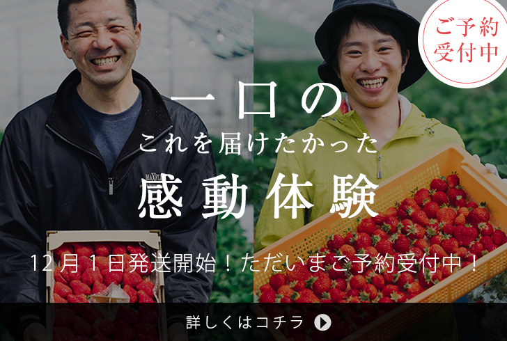 いちごの通販なら楽農ファームたけした | 福岡あまおうを使ったお取り寄せギフト