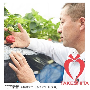 代表