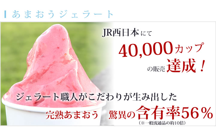 JR西日本にて40,000カップ販売達成！ジェラート職人がこだわりが生み出した完熟あまおう　驚異の含有率56％あまおうジェラート。